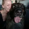 welhothewonderful