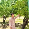 shafikhan3273