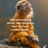 malampam_77