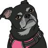 bellapuglife