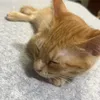mattsun_1108