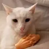 furiouz3c