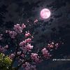 alishaislam387