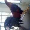 tandatphan1950