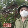 nguyenngochuong.revew
