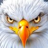 peermohammad009