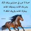 user2825393874322