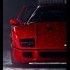 goose_63.editz