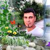 cristianion8882