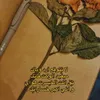 zeyad2923