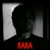 kaka.rebin