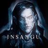 insangy
