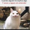 angelopardovega