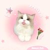 .bluepink1