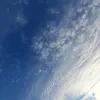 the_artist1701