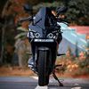 tadeo_98073