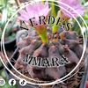verdesmmara
