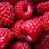 raspberryyyyyyyyyyyyyyy