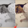 claralamy29