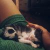 heladito_demango