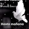 user7162771949432