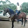 Douglas Araujo6748