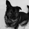 lena_und_polly