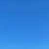 t009103