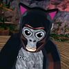 catvr8