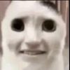 autism.browniez07