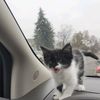 katjinx3693