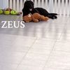 zeusreus1