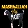 ch.qasim.rajpoot