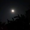 navin__1345