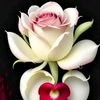 asifkhanasifkhan7767