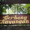busuatan1