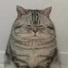 _nyanyanya_nyanya