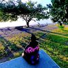 alex_vijar