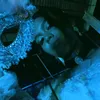 genelynfranciscop7