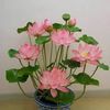 su.myat.nwe.nwe
