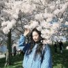 ly.tranh