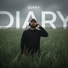 diarydiary30