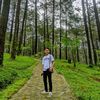 yulisarwono_