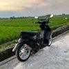alityudistira05