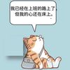 feifeichanghao