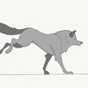 wolf_dingo