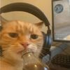 _meowwiee__