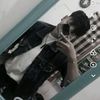 elfy2028