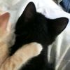 claudia_20121621