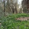 user4678013052870